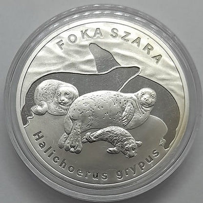 Moneta 20 zł Foka szara 2007